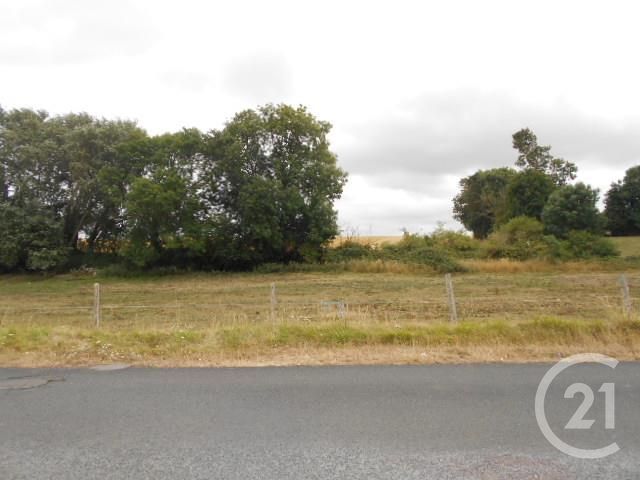 terrain à vendre - 1419.0 m2 - VER SUR MER - 14 - BASSE-NORMANDIE - Century 21 Ronco Immobilier