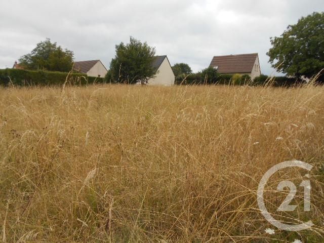 terrain à vendre - 1000.0 m2 - VER SUR MER - 14 - BASSE-NORMANDIE - Century 21 Ronco Immobilier