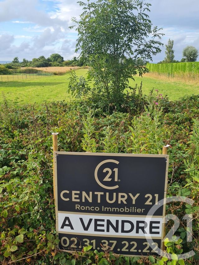 terrain à vendre - 4472.0 m2 - COMMES - 14 - BASSE-NORMANDIE - Century 21 Ronco Immobilier