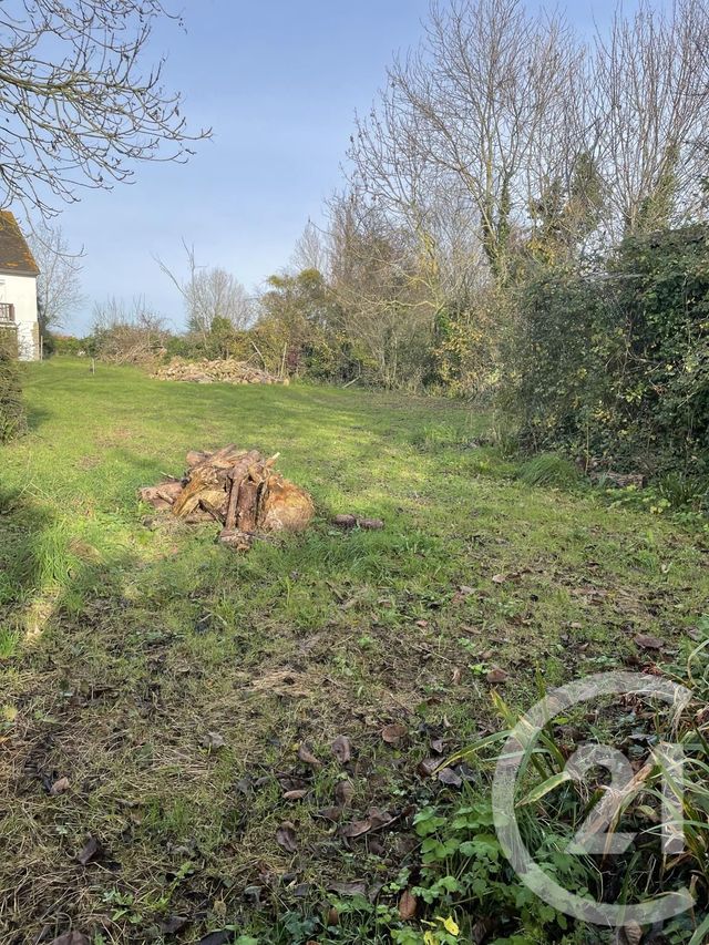 Afficher la photo en grand terrain à vendre - 900.0 m2 - VER SUR MER - 14 - BASSE-NORMANDIE - Century 21 Ronco Immobilier