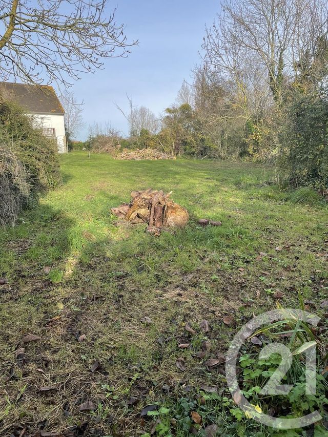 Afficher la photo en grand terrain à vendre - 900.0 m2 - VER SUR MER - 14 - BASSE-NORMANDIE - Century 21 Ronco Immobilier